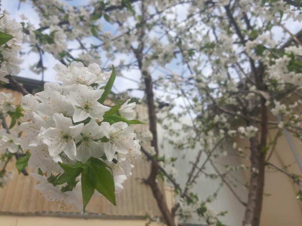 City Hostel Dushanbe Bagian luar foto